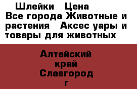 Шлейки › Цена ­ 800 - Все города Животные и растения » Аксесcуары и товары для животных   . Алтайский край,Славгород г.